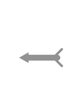 棒人間RUN